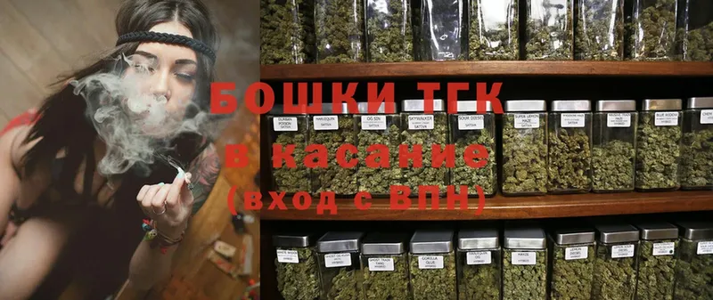 Шишки марихуана OG Kush  Кедровый 